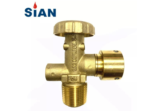 V&aacute;lvula de GLP (1)