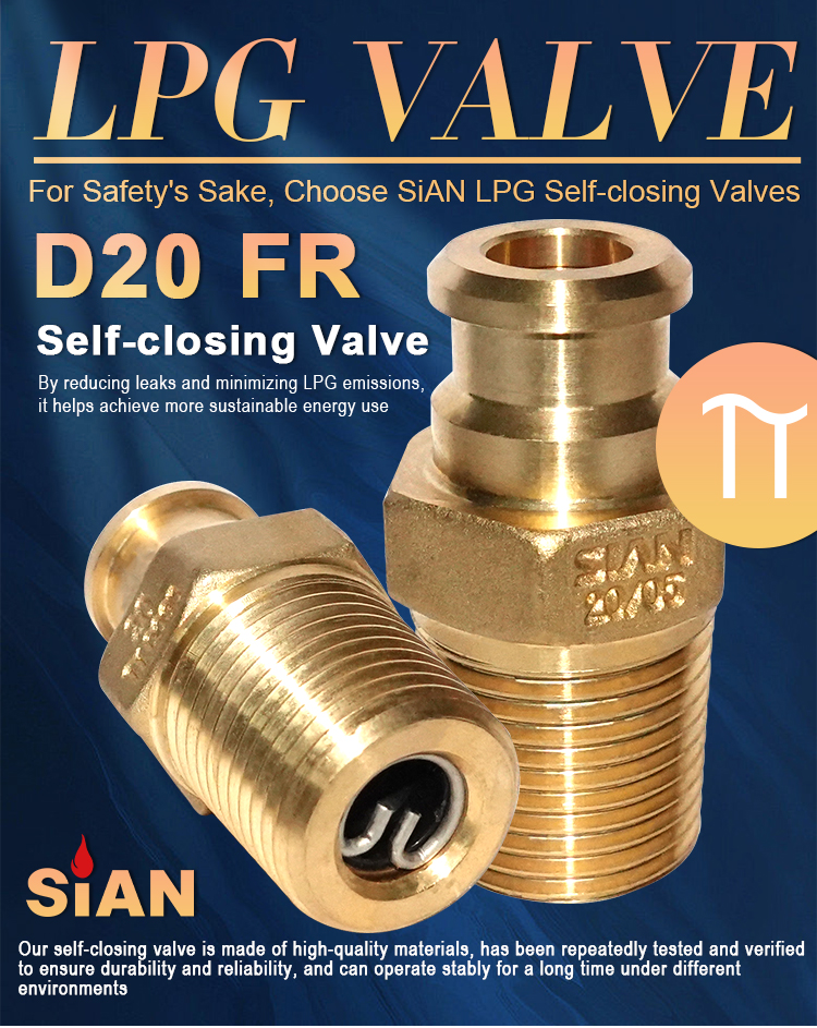 D20 V&aacute;lvula de cierre de LPG (1)