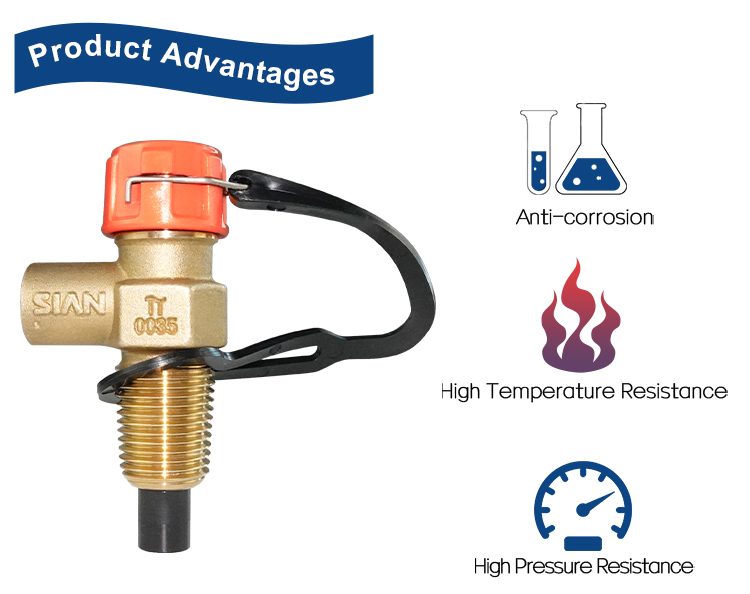 V&aacute;lvula compacta D21 (4)