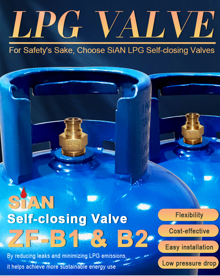 V&aacute;lvula de cierre de GLP (6)