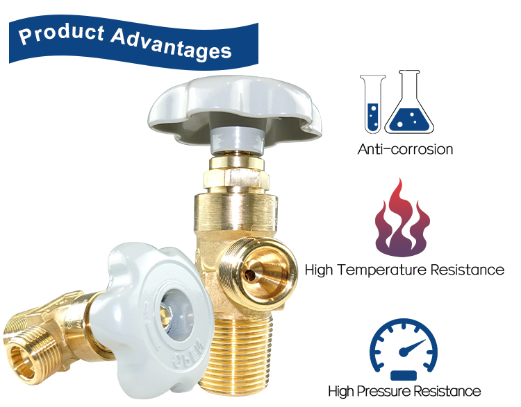 V&aacute;lvula de cilindro de arg&oacute;n PX-32A (11)